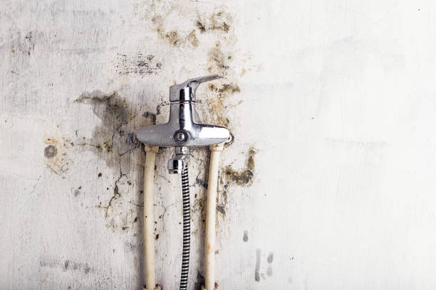 Mold Removal and Inspection in Russell, GA