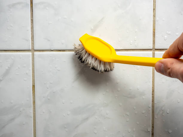 Best Commercial Mold Removal  in Russell, GA