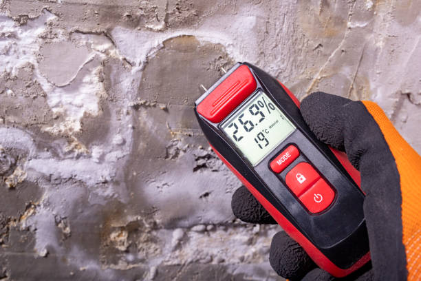 Best Fast Mold Removal  in Russell, GA