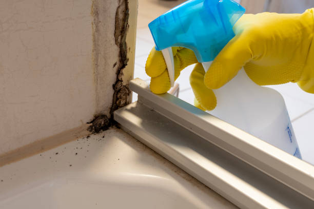 Best Office Mold Removal Services  in Russell, GA