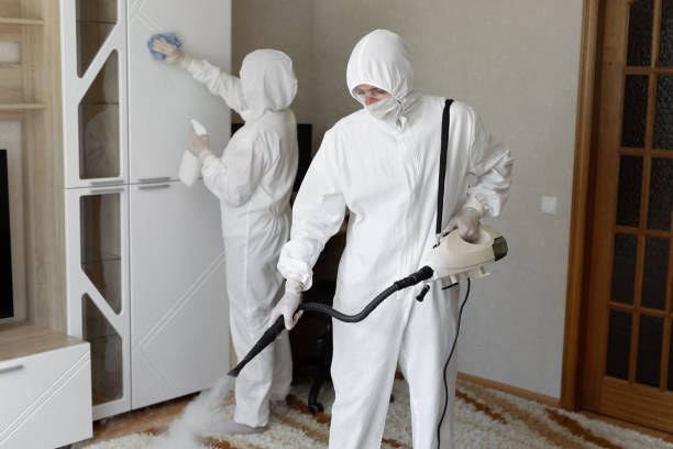 Best Crawl Space Mold Removal  in Russell, GA