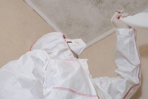 Home Mold Removal in Russell, GA