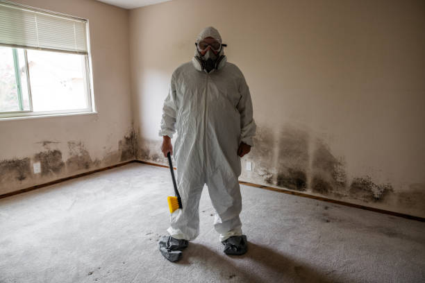 Best Mold Testing  in Russell, GA
