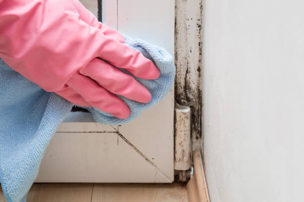 Best Mold Testing  in Russell, GA